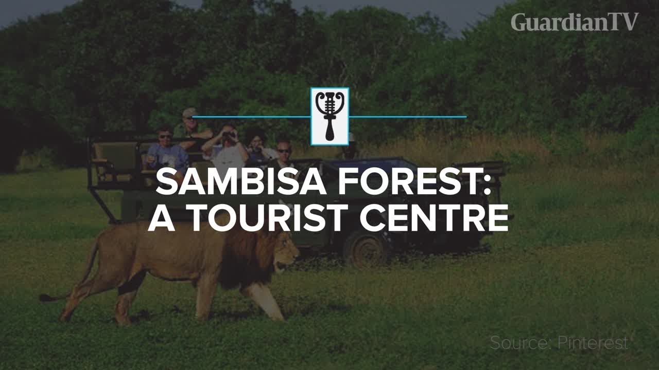 Sambisa Forest: A tourist centre