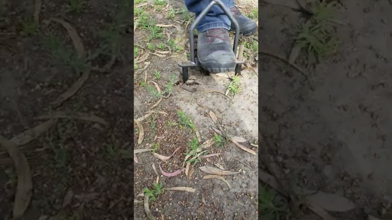 Silt Soil
