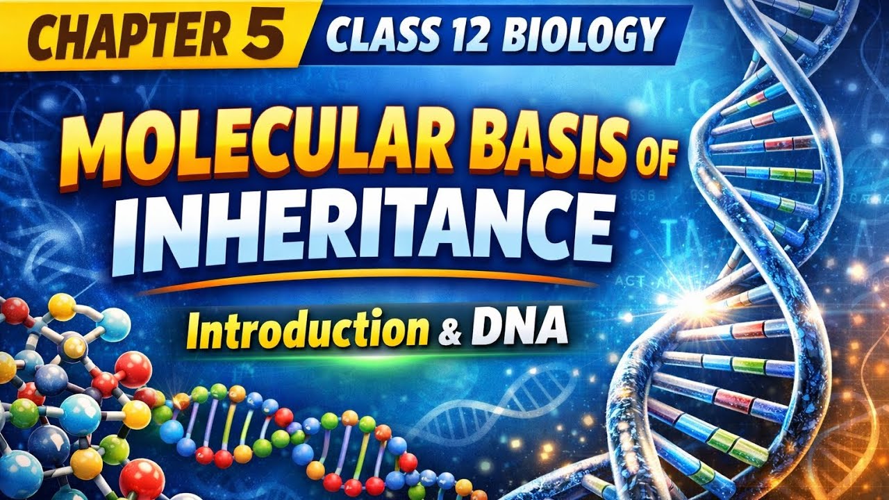 Molecular Basis of Inheritance: Inside the World of DNA