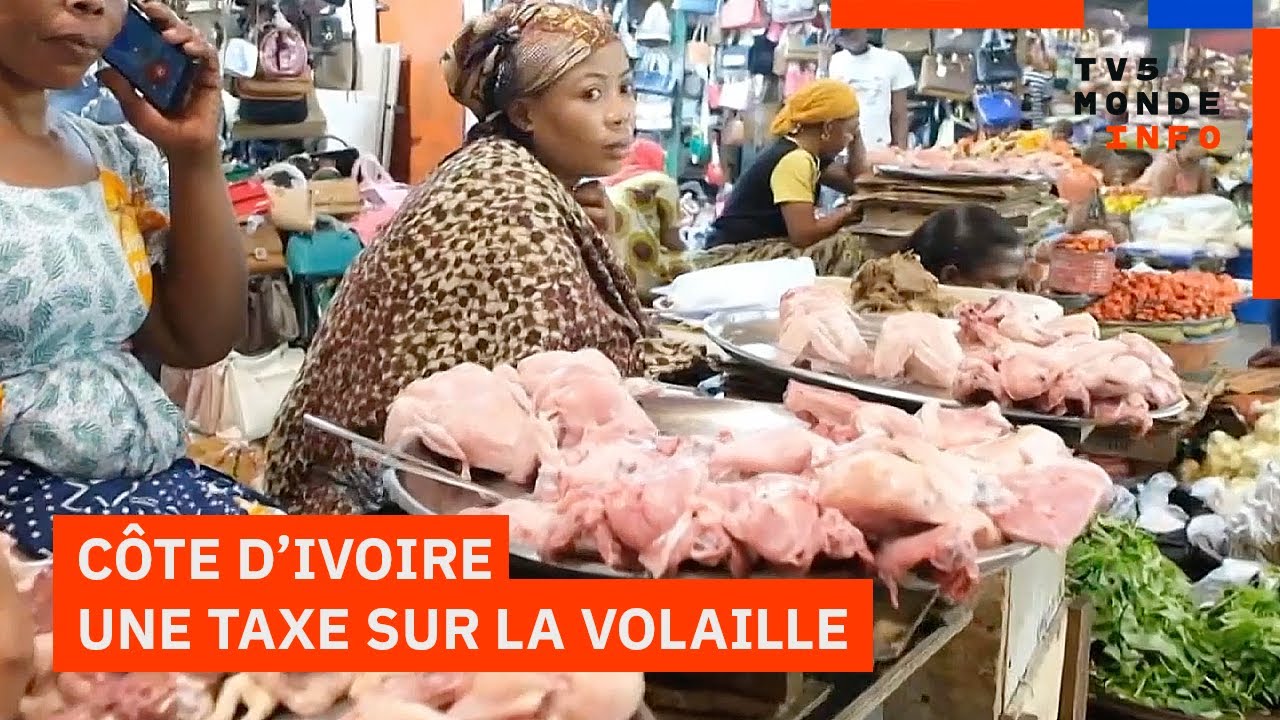 Côte d’Ivoire : la taxe au goût amer pour les producteurs de poulet