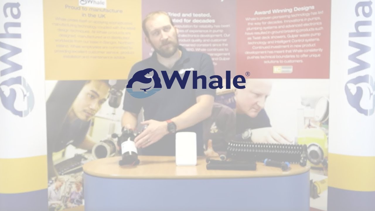 Whale | Washdown Product Overview
