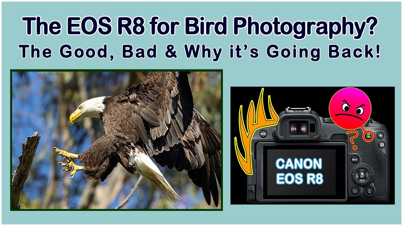 Canon EOS R8 For Bird Photography? The Good, Bad, & Reasons Why I'm Sending it Back.