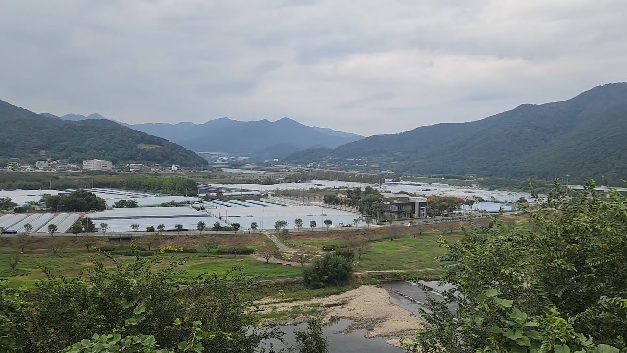 [2025/10/26] 밀양 용두산 생태공원, 금시당 가는 길...