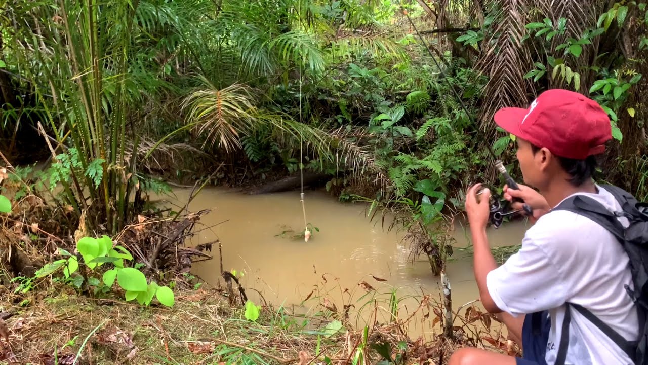 KALIMANTAN MEMANG SURGA NYA ORANG YANG HOBI MANCING SUNGAI SEKECIL INI AJA BANYAK IKAN LELE NYA