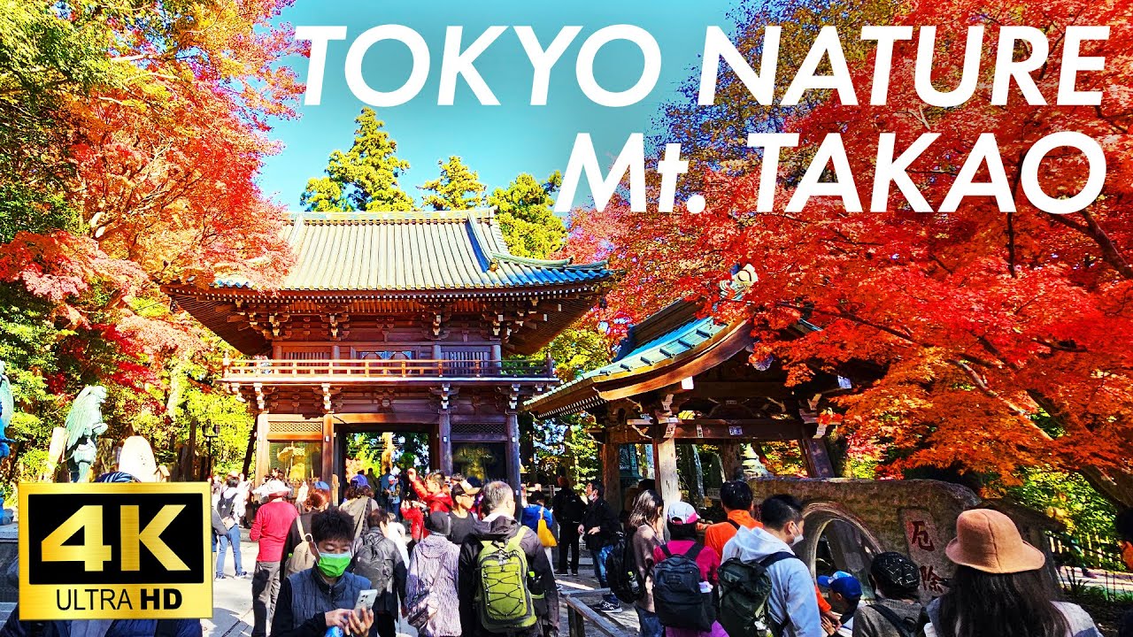 【Japan Walk】Mt. TAKAO Most popular nature spot in Tokyo
