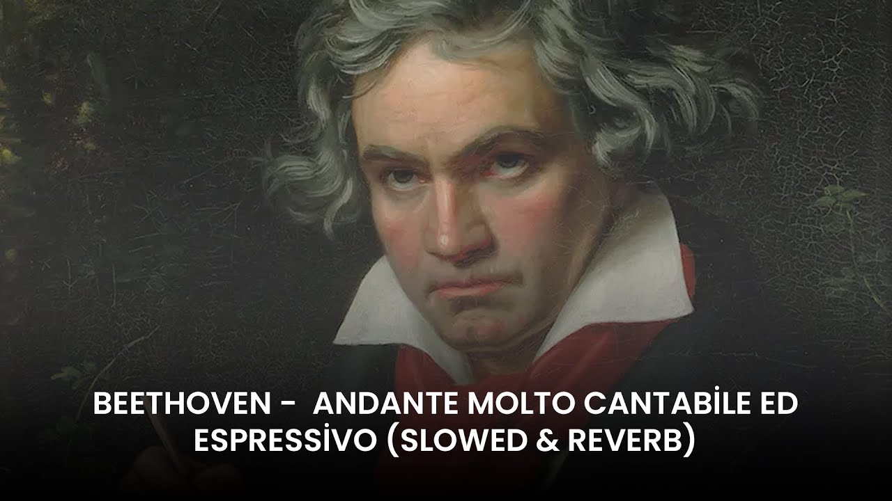 Beethoven - Andante Molto Cantabile (Slowed + Reverb) | Deep Relaxation & Sleep Music