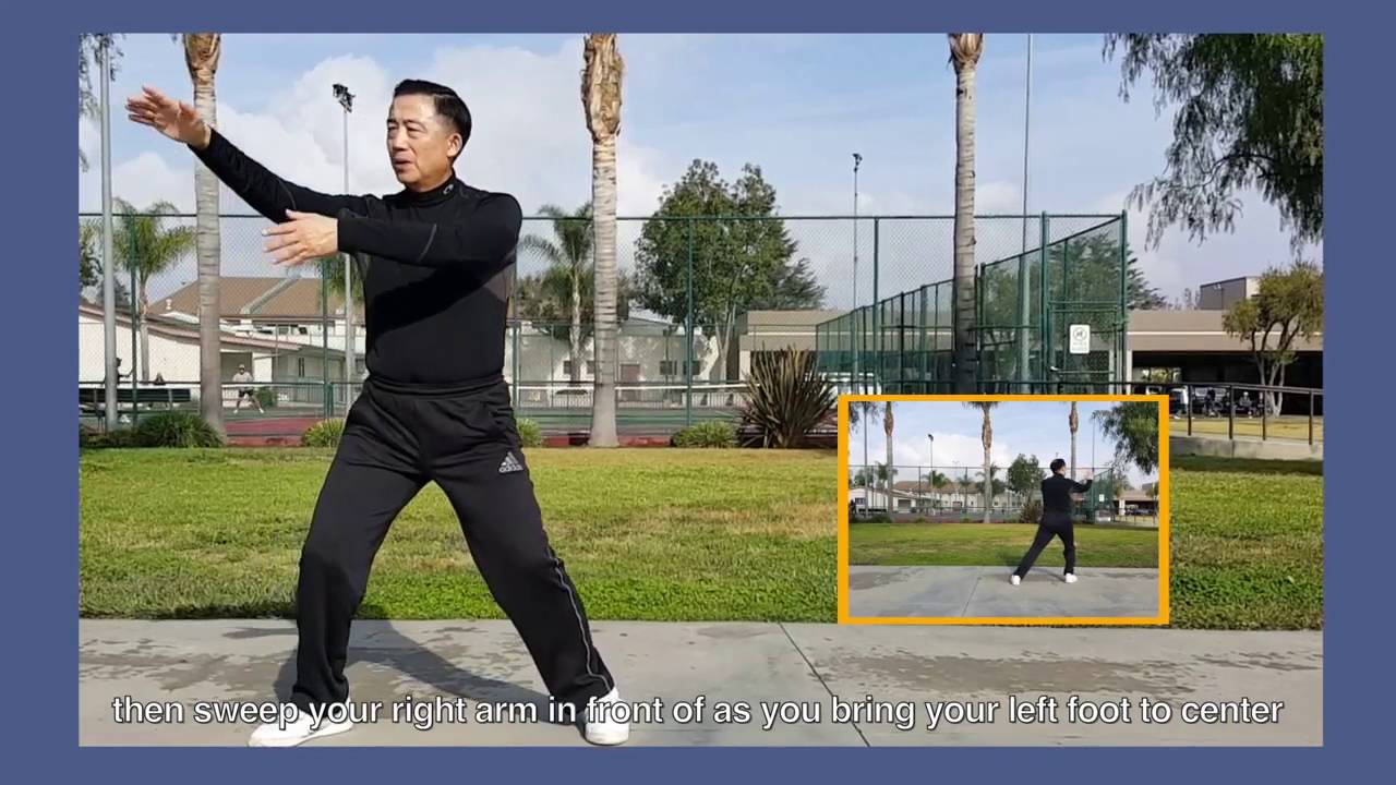 8-Form Taiji (Tai Chi) Yang Style Version 1