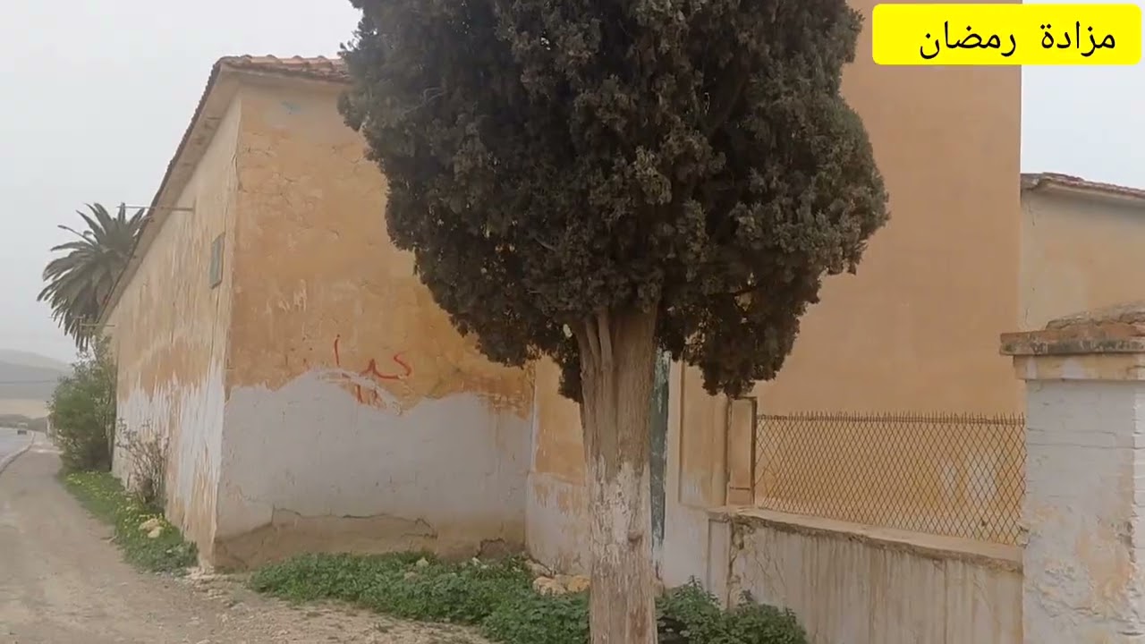 أولاد سيدي علي سيدي بلعباس  04~03~2026