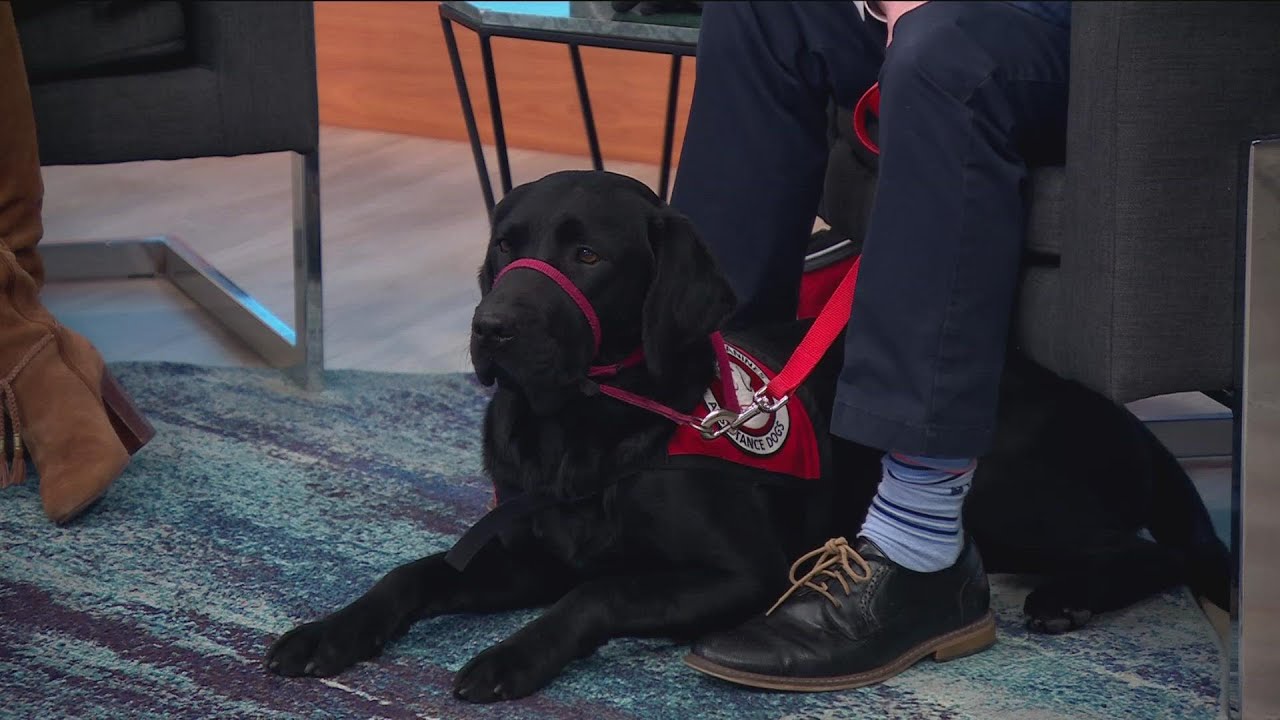 Can-Do Canines to host open house Saturday in New Hope