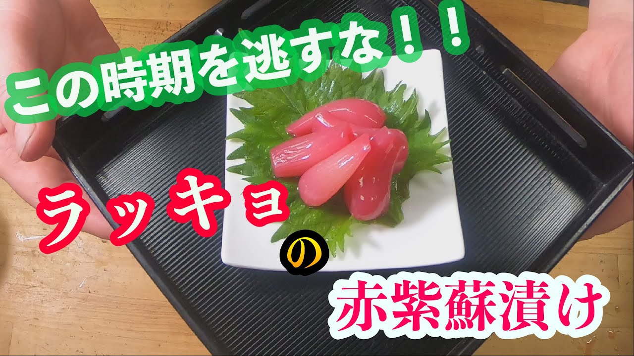 この時期を逃すな！！ラッキョの赤紫蘇漬けの作り方