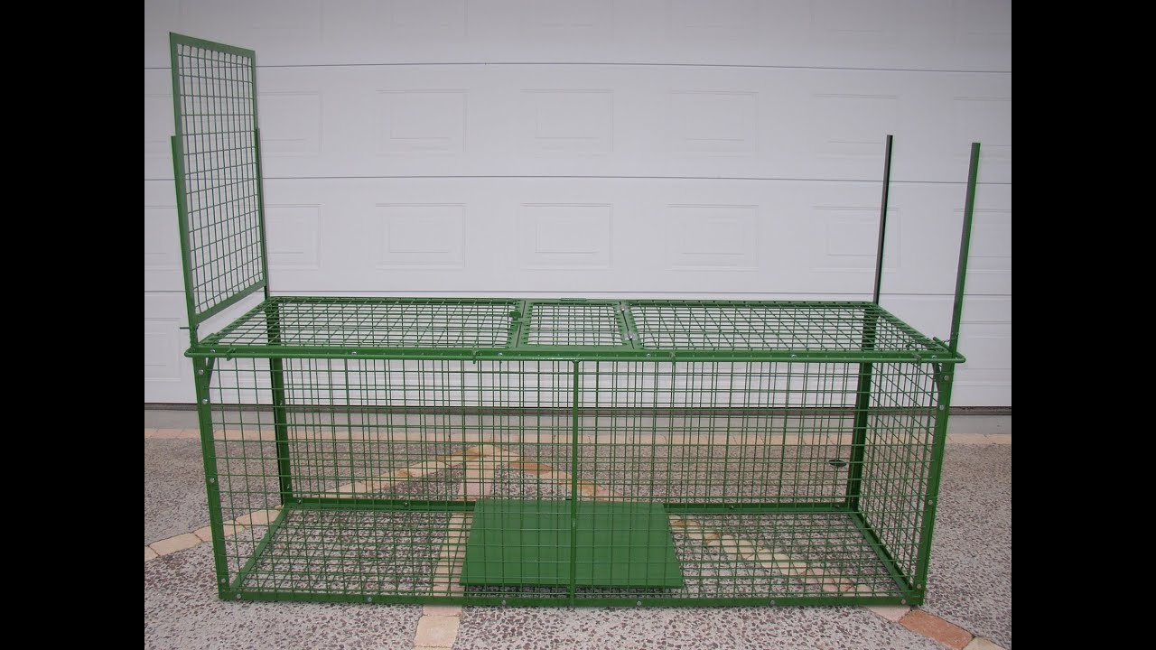 boîte à fauves grande taille