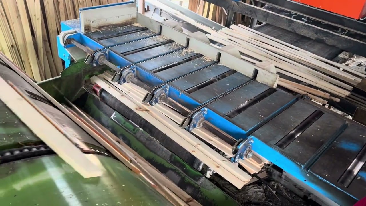 Wood sawing line for pallet production Brodpol Jabłoński etc.