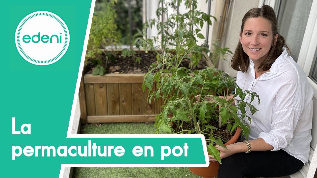 La permaculture en pot