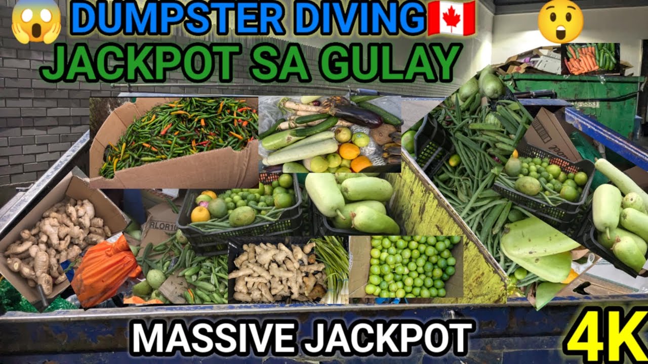DUMPSTER DIVING🇨🇦 MEGA MASSIVE JACKPOT SA MGA GULAY/BUMAHA NG LIME 🍋‍🟩 LEMON #trending #viralvideo 