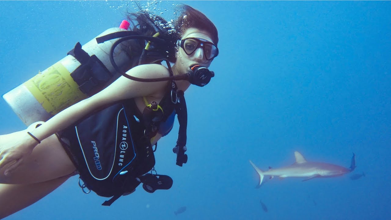 Coralhead Sharks and the Prinz Eugen || Dive Kwajalein pt. 1