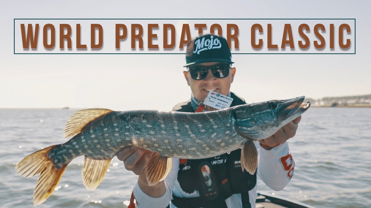 Team Mojoboats - WPC 2019