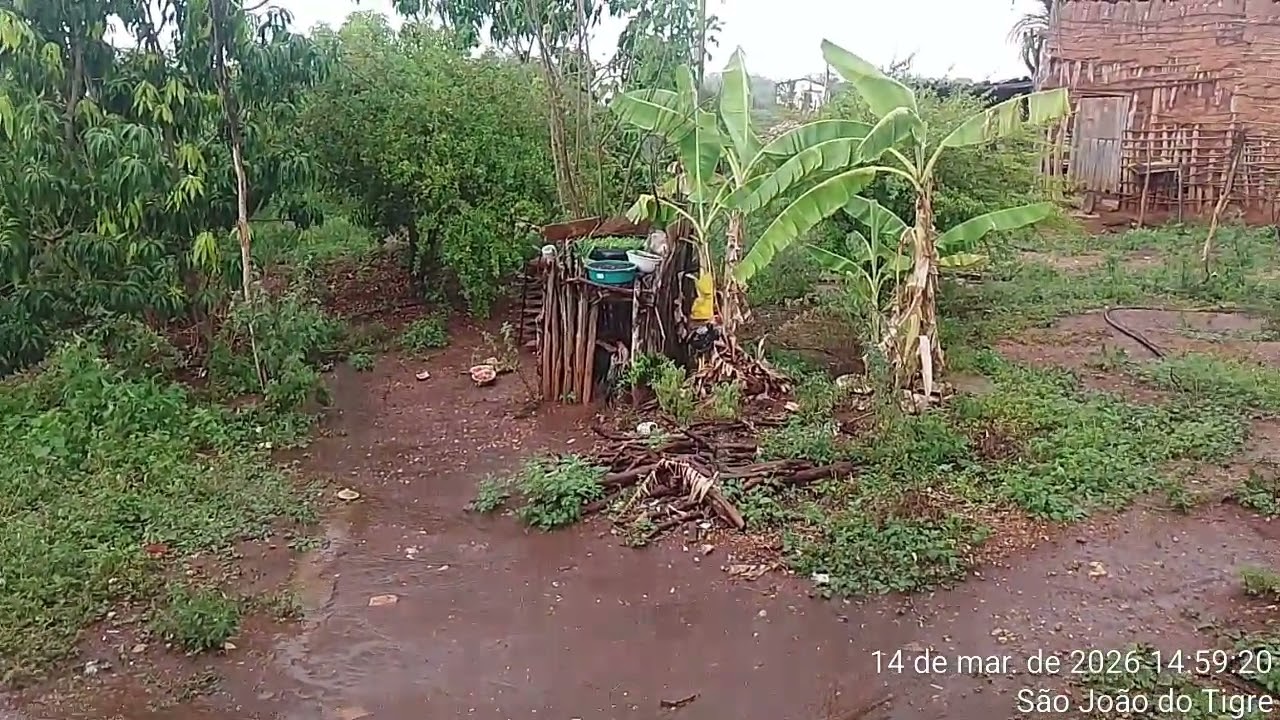 Graças a Deus a chuva 🌧️ chegou novamente 🙏 estava muito quente 🥵
