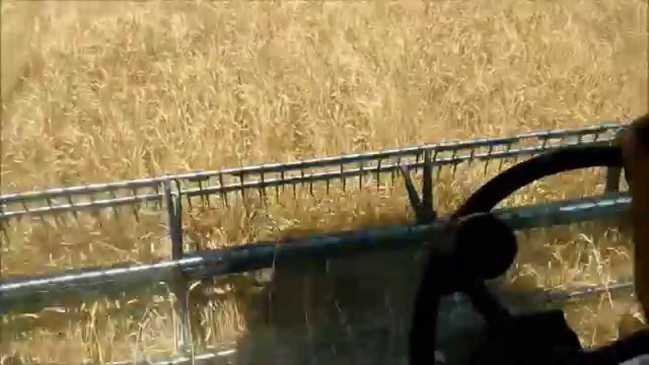 [HD]ΑΛΩΝΙΑ 2015 DEUTZ FAHR 4075 HTS ΓΚΟΥΤΖΑΣ
