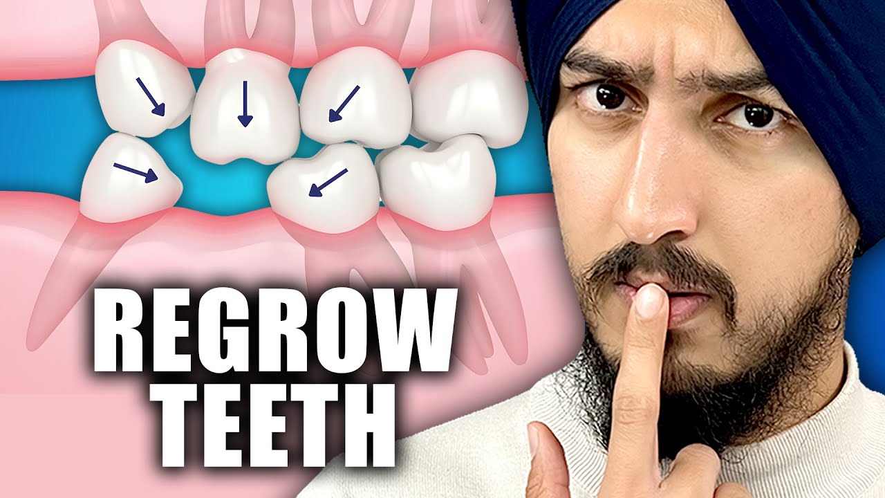 Scientists May Have Found a Way to Regrow Missing Teeth