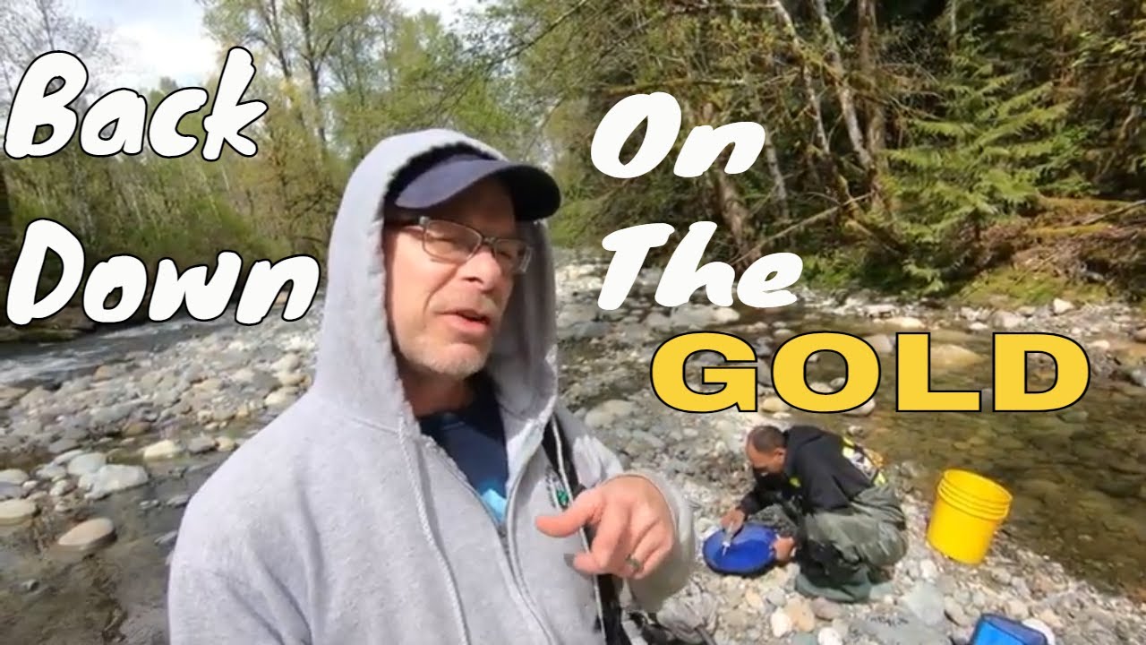 Back Down On The Gold