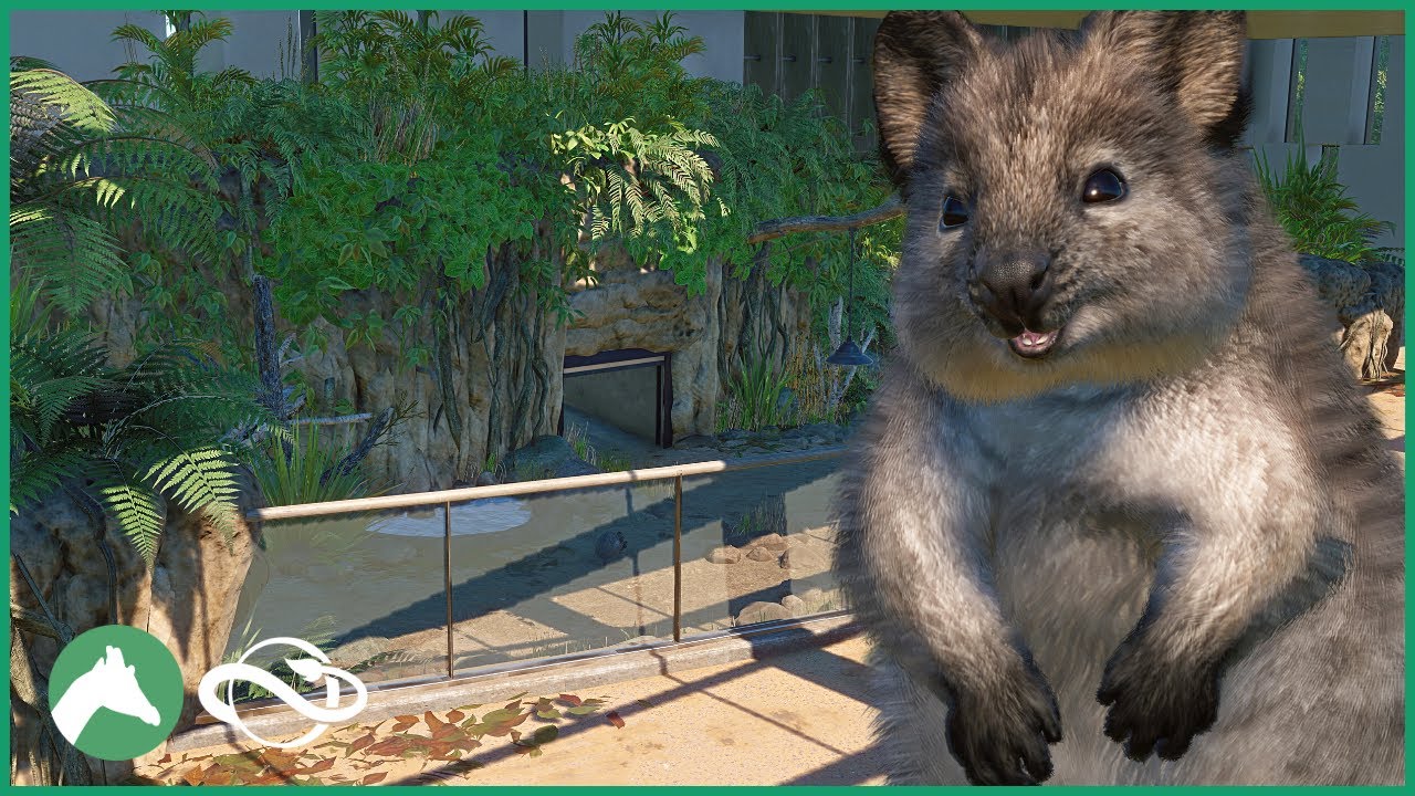 Quokka Indoor & Outdoor Habitat | Elm Hill City Zoo | Planet Zoo