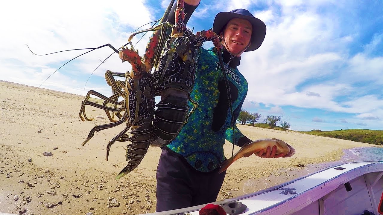 Spearfishing Australia Far North 2019 | Crayfish And Trout - Ep 2
