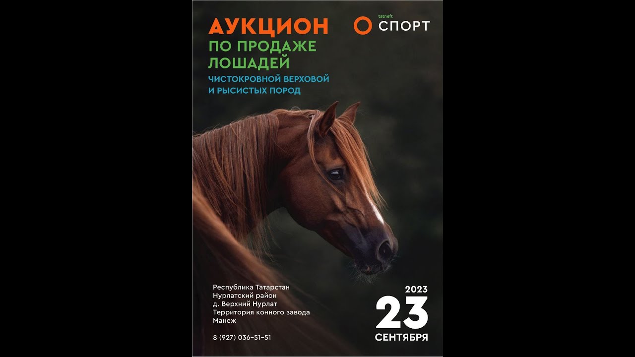 АУКЦИОН ПО ПРОДАЖЕ ЛОШАДЕЙ ЧИСТОКРОВНОЙ, ВЕРХОВОЙ И РЫСИСТЫХ ПОРОД.