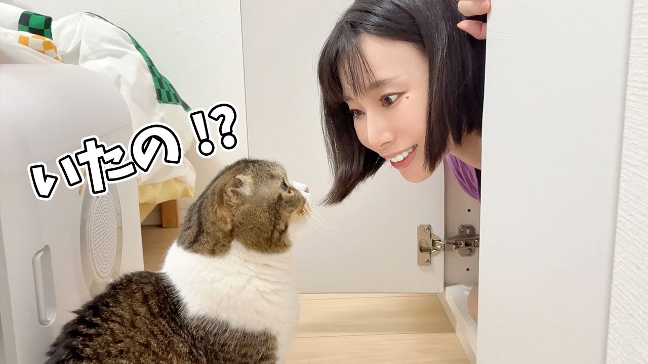 いるはずのないママがクローゼットから突然現れて嬉しすぎてパニックになる猫が可愛い！