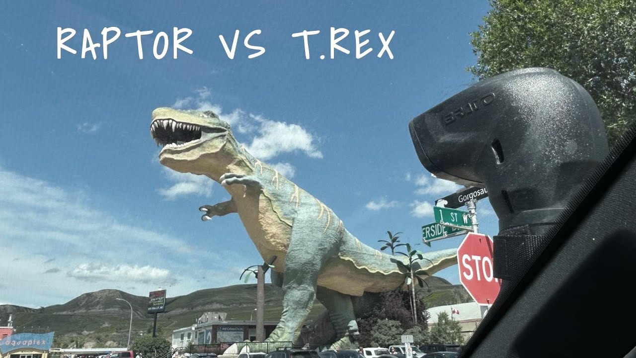 Road trip Alberta: Edmonton, Canyon Horsethief, parc national Elk Island, castor et Cie