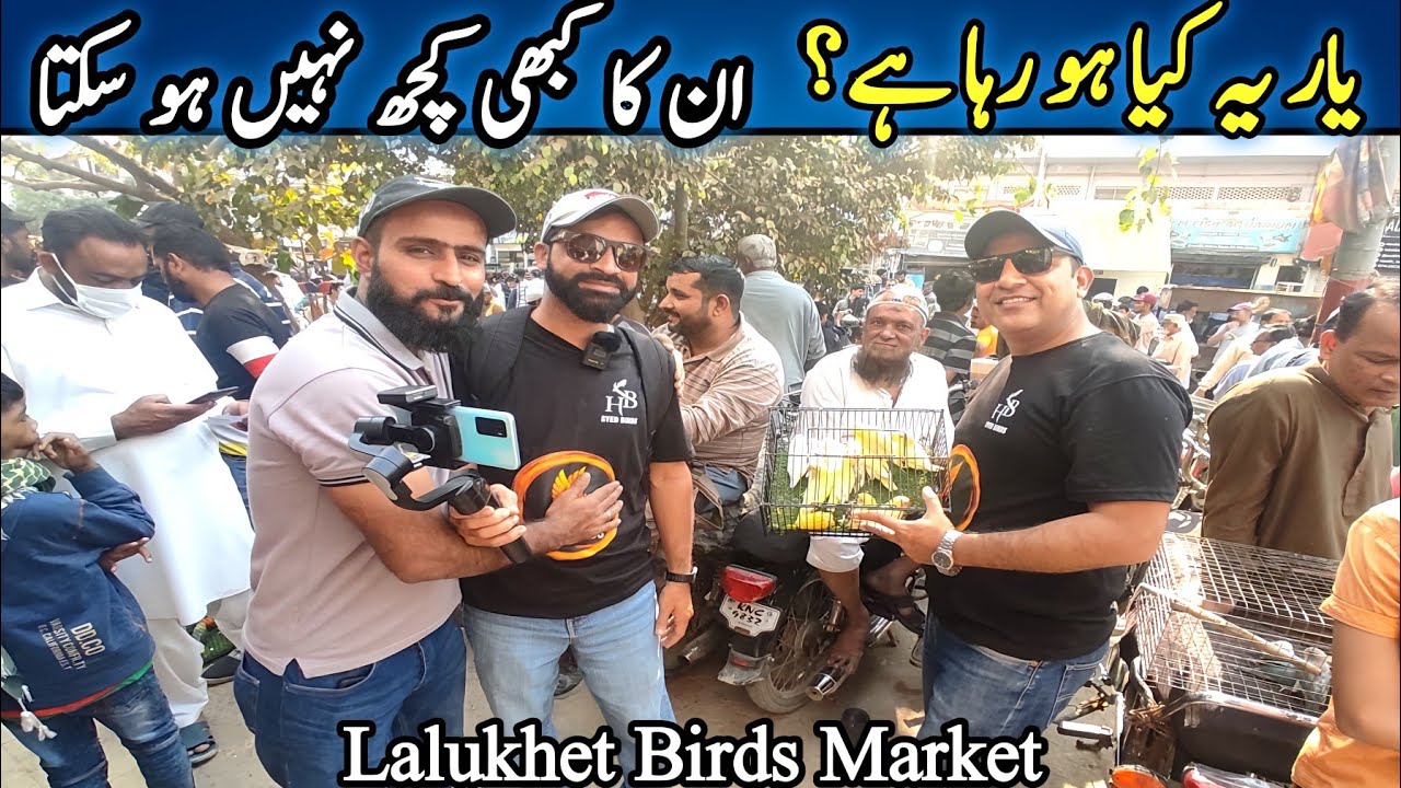 Lalukhet Sunday Birds Market 2024 Latest Update | Lalukhet Birds Market Latest 2024 Update@SYEDBIRDS
