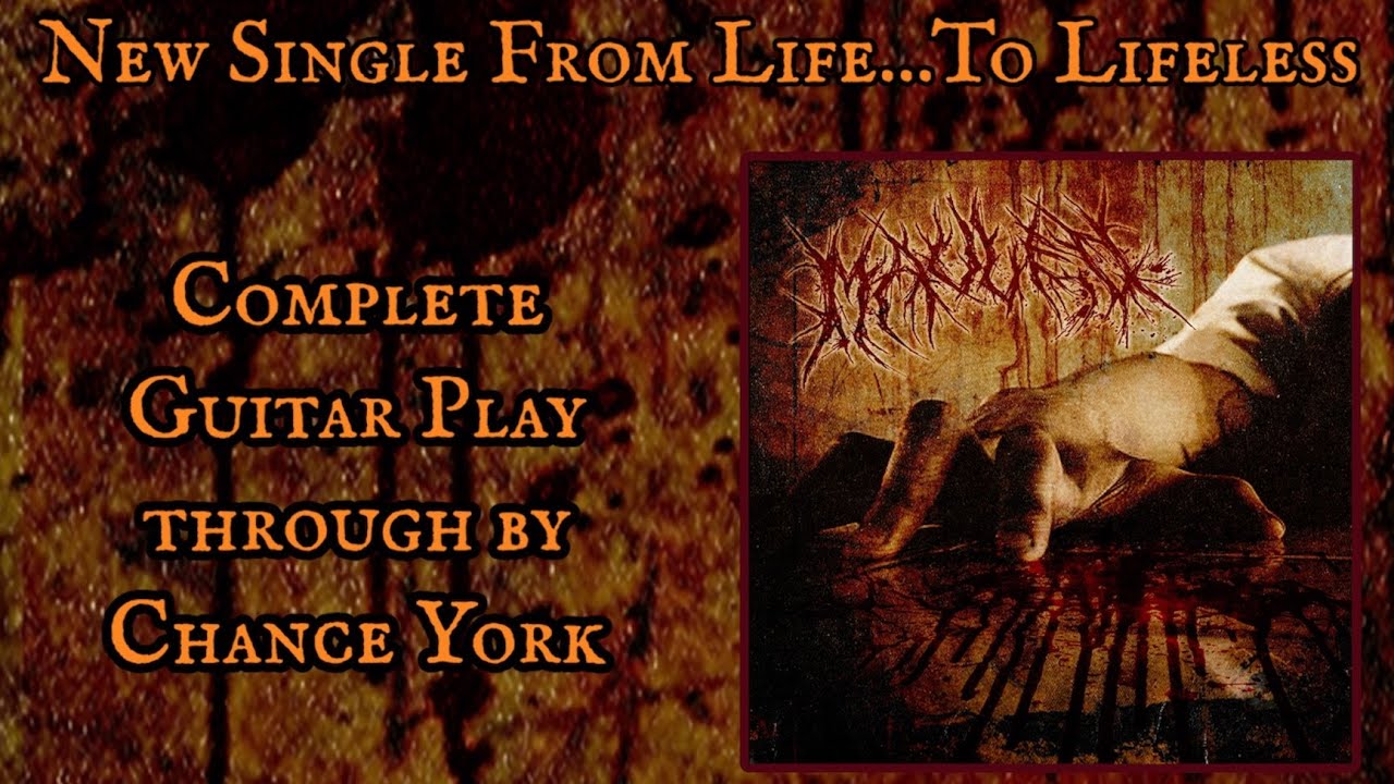 From Life...To Lifeless Guitar Playthrough.