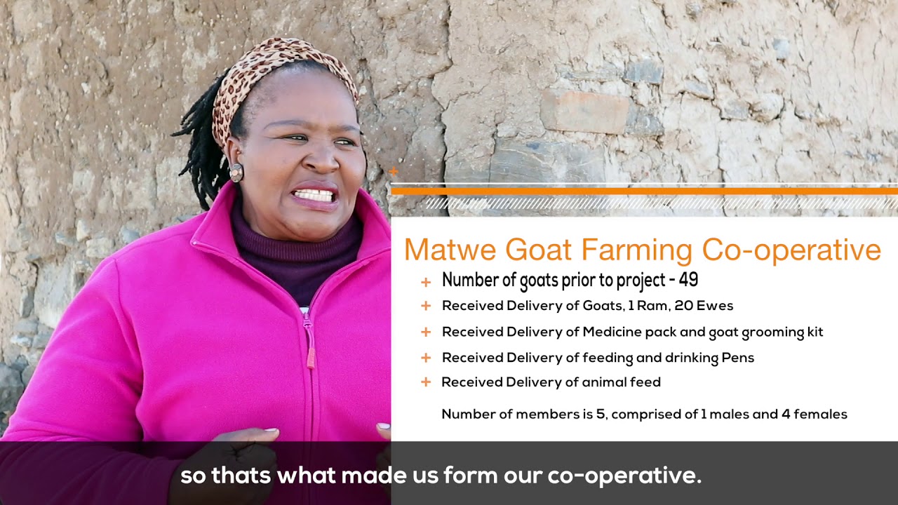 HD-Full Version   Goat Farming Documentary
