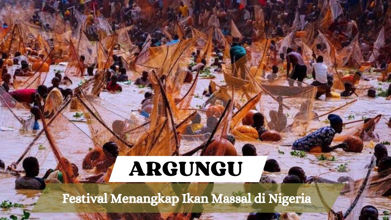 Argungu: Festival Menangkap Ikan Massal di Nigeria
