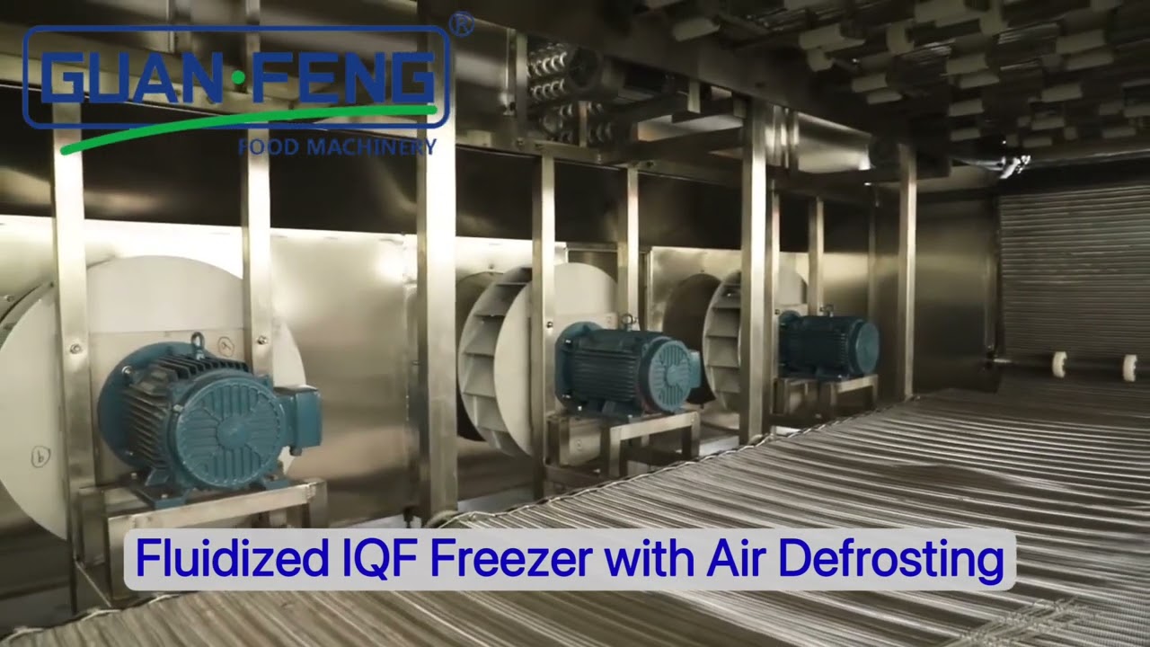Fruits and Vegetables IQF freezer from GUANFENG