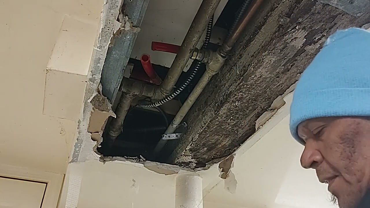 Fix a Leaking Shark Bite Fitting on Pex Line #diy #homeimprovement #plumbingtips #plumbingfails