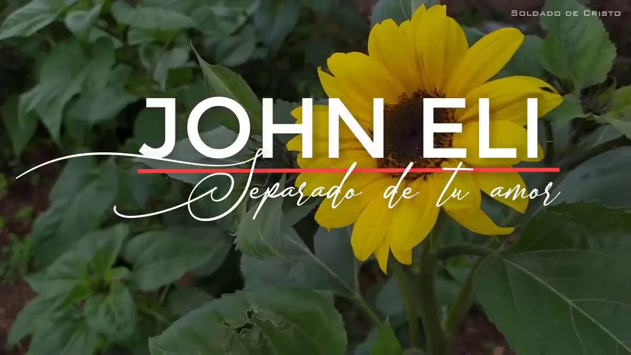 SEPARADO DE TU AMOR NADA SOMOS / Adoraci&oacute;n / Sin ti / John Eli