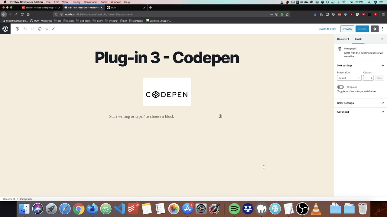 Plug-In 3 - Codepen
