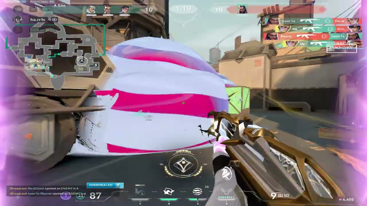 shotgun