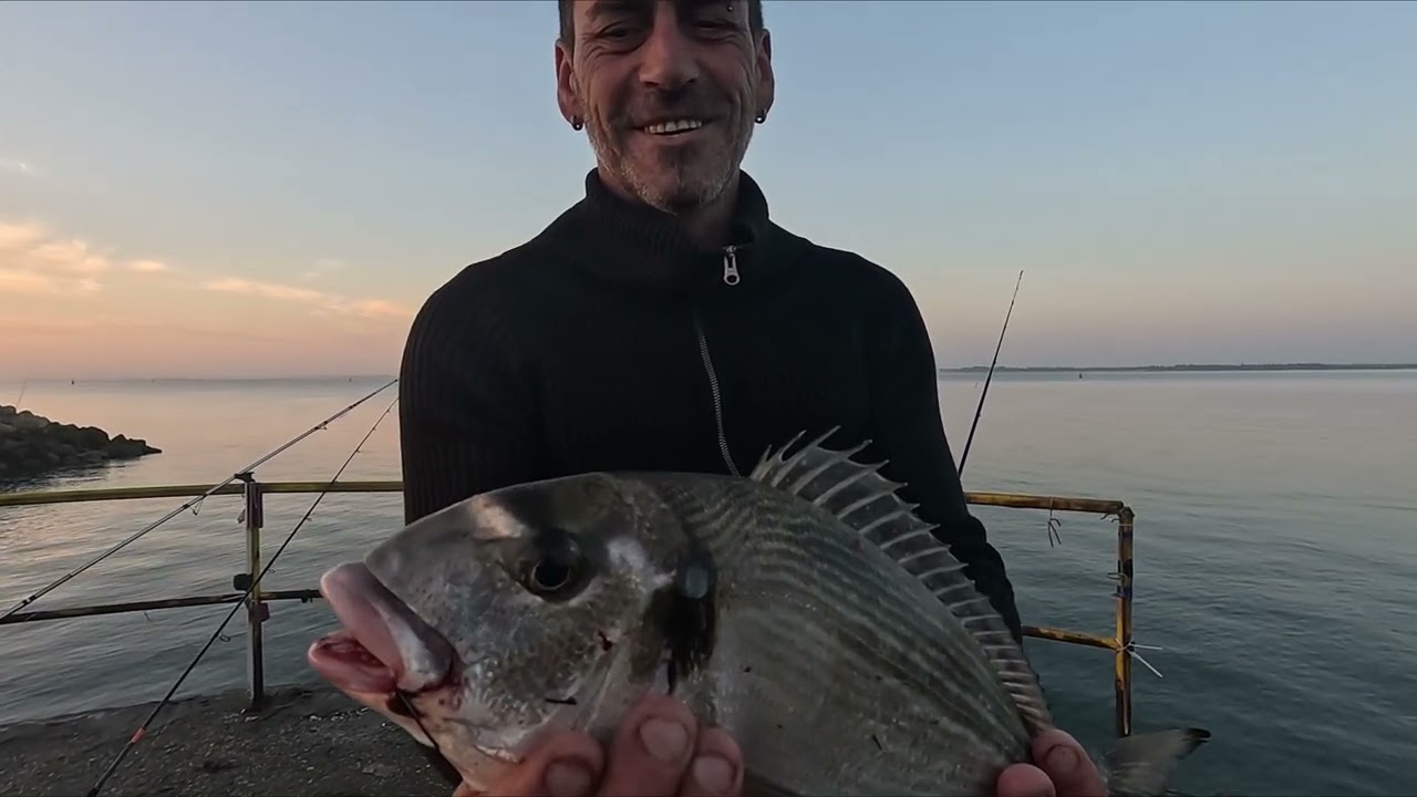 APANHAMOS UM ATUM UM DIA QUE SAIO MUITA VARIEDADES DE PEIXE
