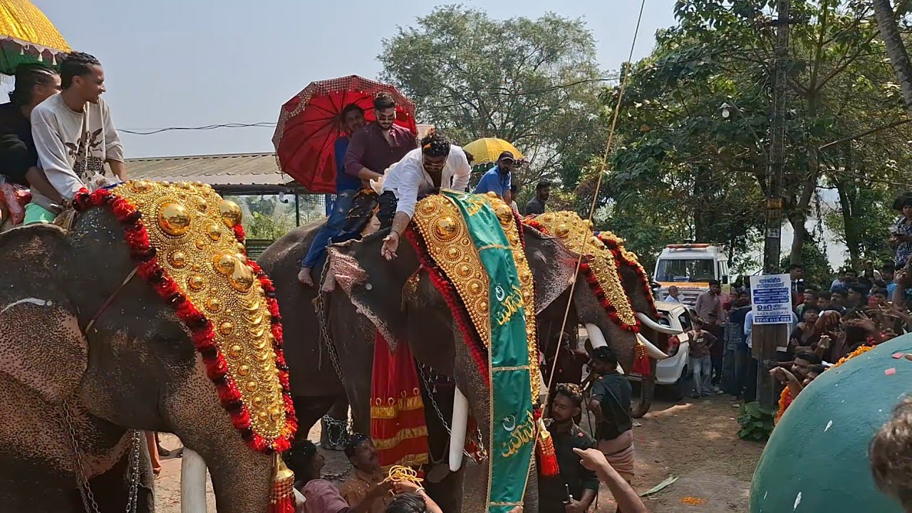VK KADAV NERCHA FEST 2026 വികെ കടവ് നേർച്ച FEST 