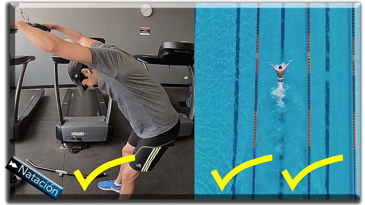 25 ejercicios en el gimnasio para natacion