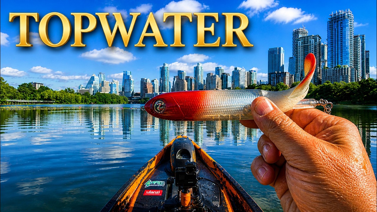 The hunt for a 10lb bass on topwater 