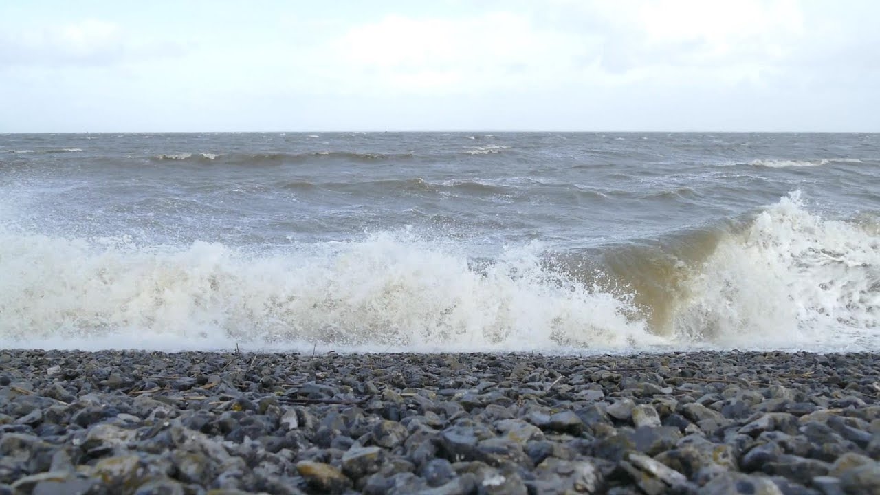 Hoogwater Lauwersoog 10-02-2020 +260cm NAP