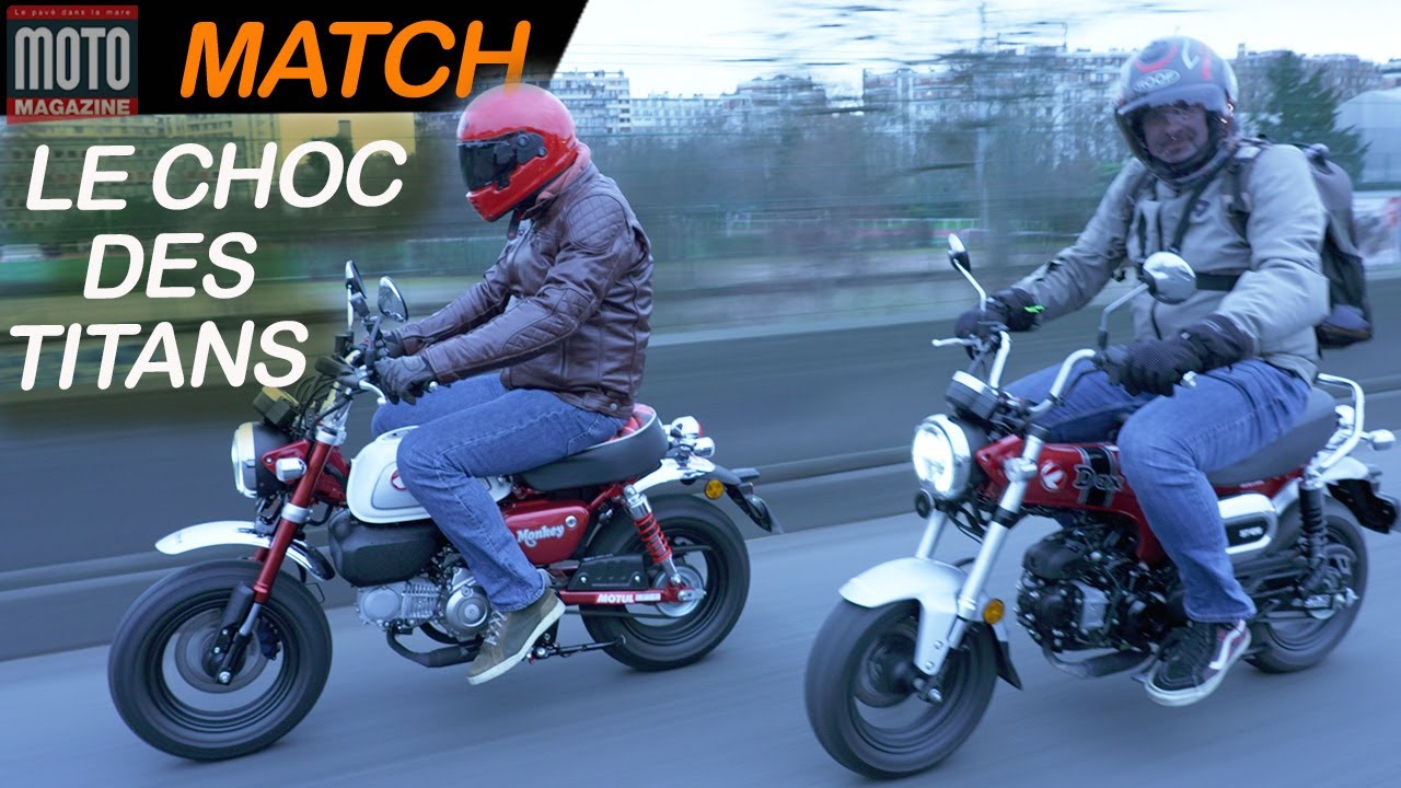 Honda Monkey 125 против Honda ST 125 Dax: Битва титанов ▶︎ Тест журнала Moto