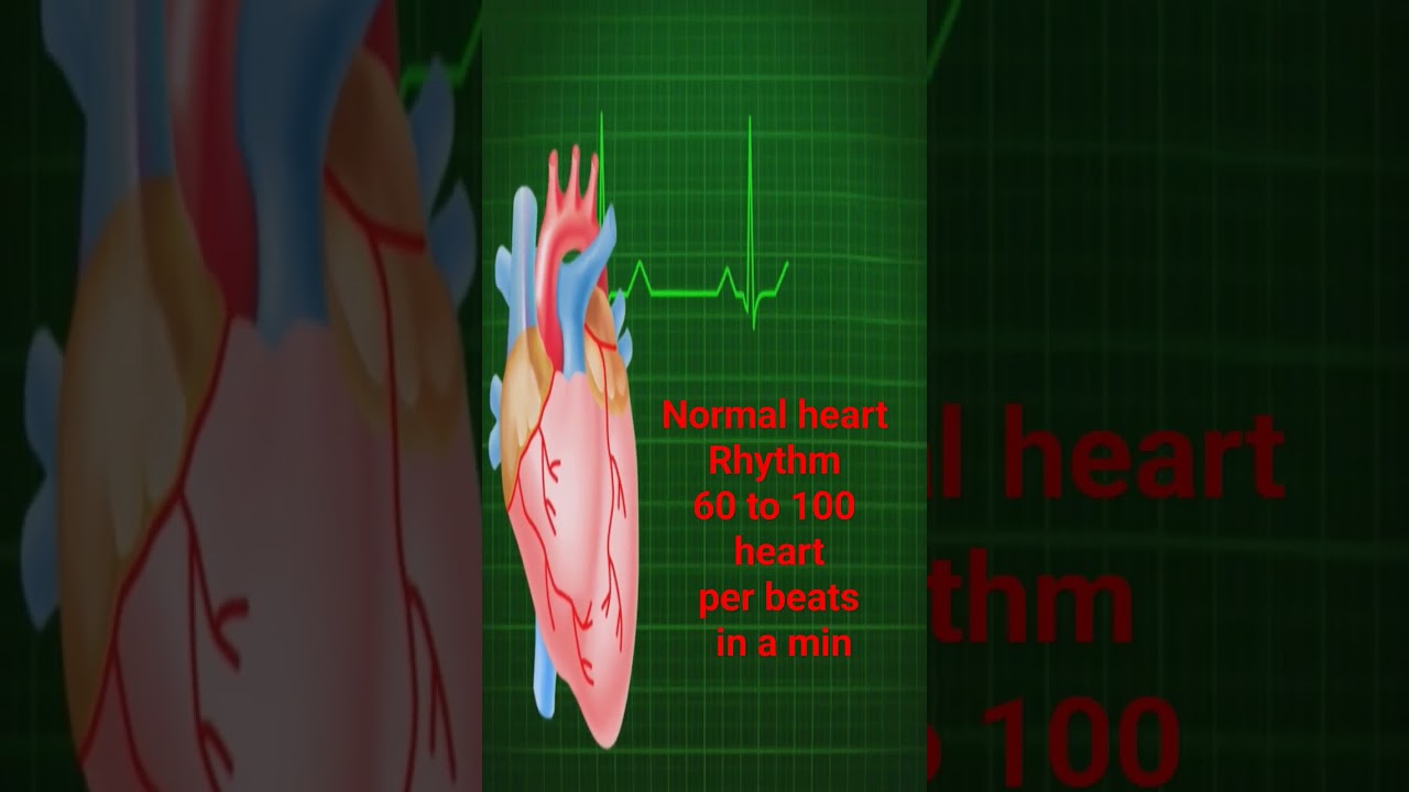 Normal heart Rhythm#heartbeat#viral #viral#trending