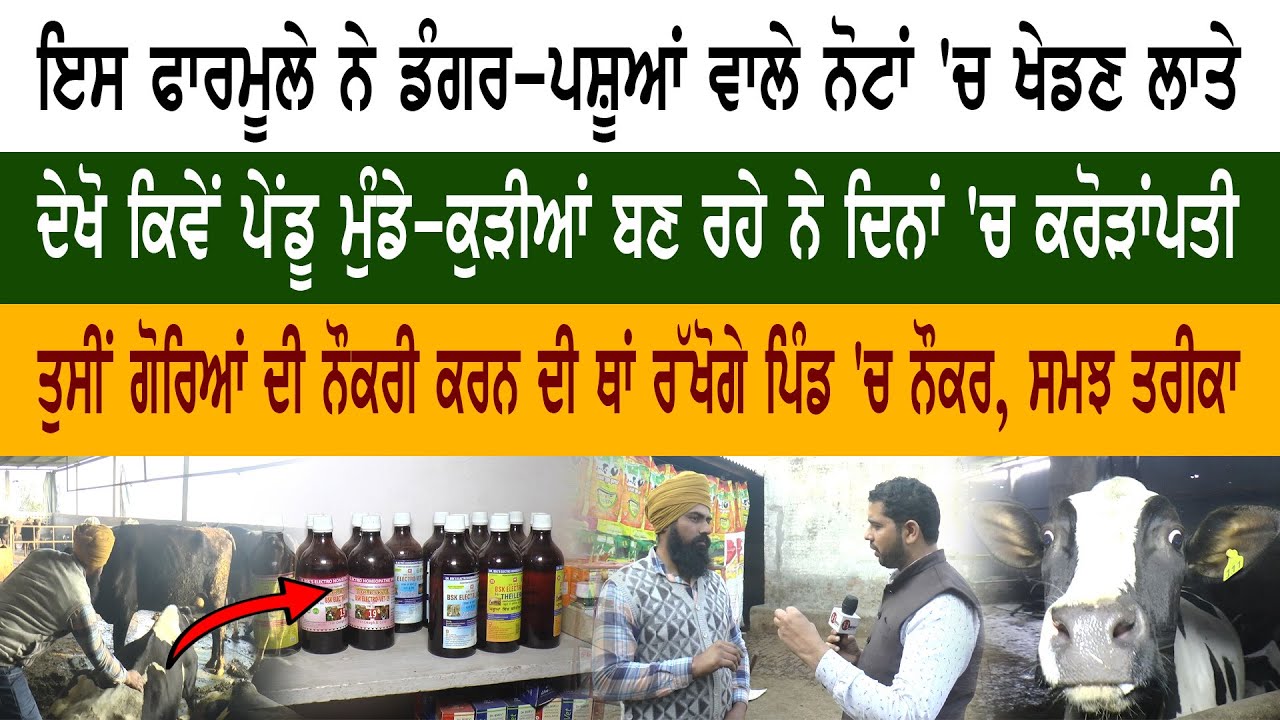 ਇਸ ਫਾਰਮੂਲੇ ਨੇ ਡੰਗਰ-ਪਸ਼ੂਆਂ ਵਾਲੇ ਨੋਟਾਂ 'ਚ ਖੇਡਣ ਲਾਤੇ, ਕਮਾਉਂਦੇ ਨੇ ਕਰੋੜਾਂ