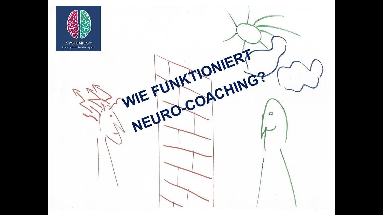 Wie funktioniert Neuro-Coaching?
