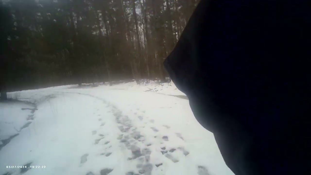 Switchbacks South woods -- UTICA NY Snow melting