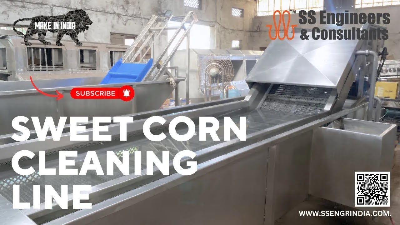 Sweet corn processing and packaging line | Corn washing | Corn 🌽 #SSEC #SSENGRINDIA