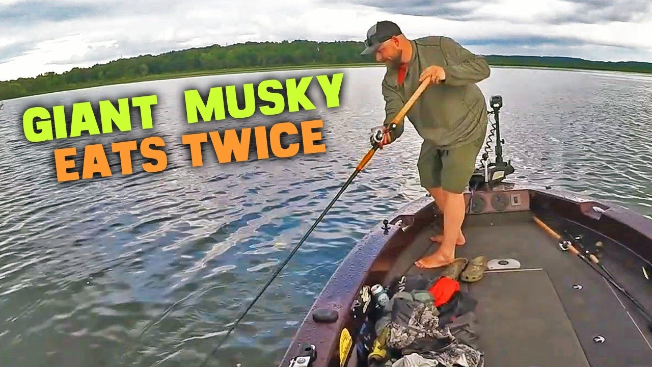 HUGE MUSKIE TRIES TO EAT....TWICE!! - WEIRDEST 